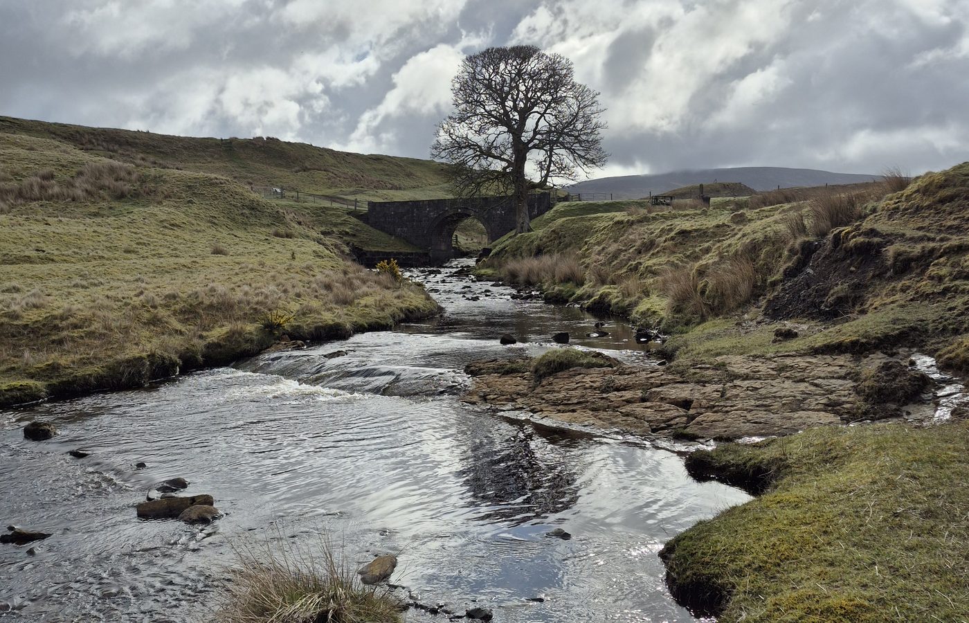 A shallow burn running over stones through grassland near Muirkirk.